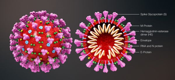 Coronavirus, que pouvons-nous faire ?